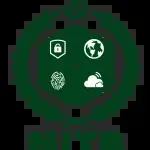 National IT Board – NITB company icon