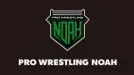 Noah Pro Max company icon