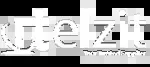 Elzit company icon