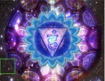 HR Vibrance company icon