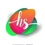 H.S PVT LTD company icon